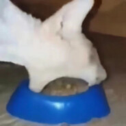 你为什么不开心早上精