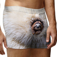 Трусы с ленивцем,