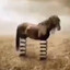 habzz