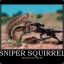 SniperSquirrel