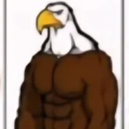 Endurance Eagle