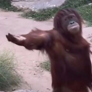 扣1收听apex圣经