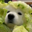 迪嘎