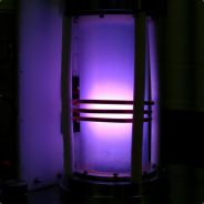 rogue_ghost
