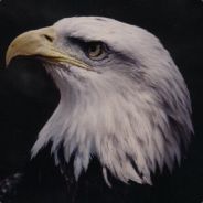 t3kdesigner
