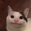 Grzegi111