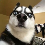 子非鱼？安知鱼之乐