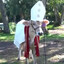 HOLY COW