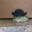 FrogWithHat
