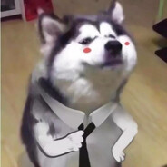 翻斗花园一号突击手