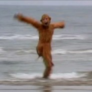 不及晚霞懂我心