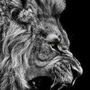 干拉然后刷抖音