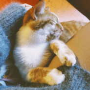 爽姐想喝椰子水