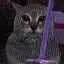 knight vro