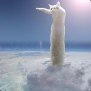 jugs mctugs - steam id 76561197963469058