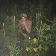 ElSeñuelo