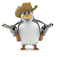 马达加斯加牛仔