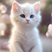 ꧁✨❤️𝘨ã𝙩𝔦𝙩օ