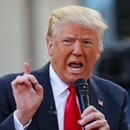 U.S. virus and Vietnamese silly