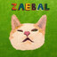 Zaebal