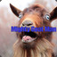 royalgoatking