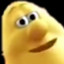 Brzyg