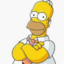 homer_simpson_22