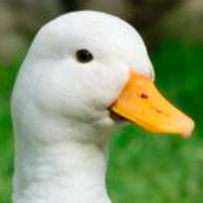 DaffyDuckyy