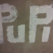 PuPi - steam id 76561197960511705