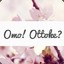 Omo! Ottoke?