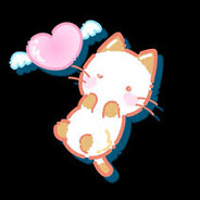 iluvcats