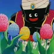 Mr. Popo