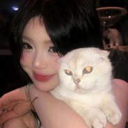 互联网试吃小点心