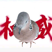 古菇顾！古菇顾！