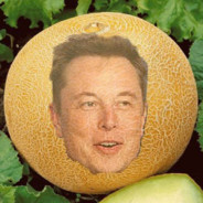 Melon Musk