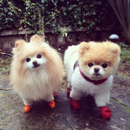 骑着蜗牛追空投