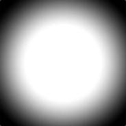 一朵菊花（战痕累累）