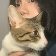 小时候想养个猫