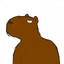 Capybara