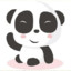 DocPanda007