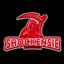 Shockensie