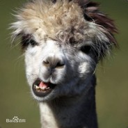 谢谢请叫我草尼马