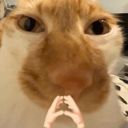 Mr. Kit