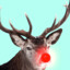 Rudolf00#RUSTCLASH.COM