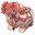 madoka
