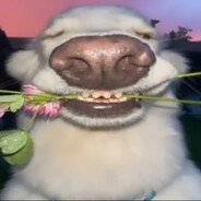 fake donk - steam id 76561199233035824