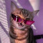 HELLCAT