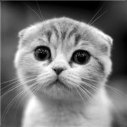 辣个杀手不怕冷