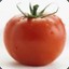 Old Tomato