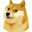 Shiba_T